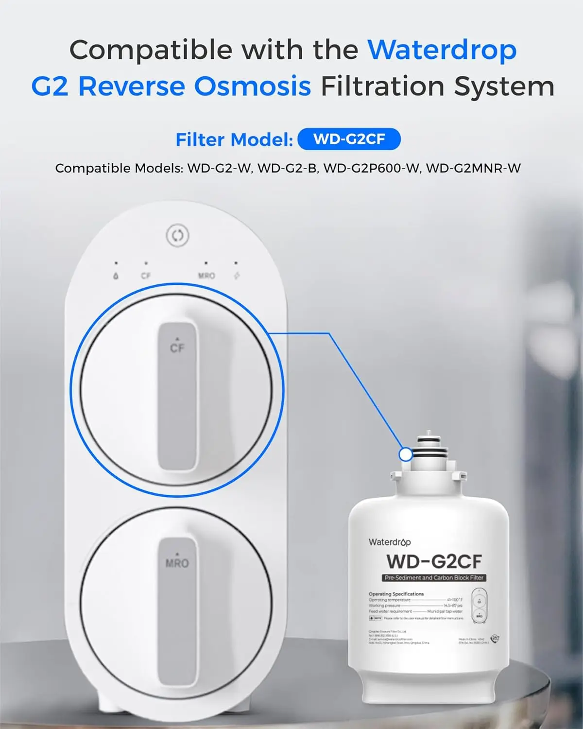 Waterdrop G2CF Filter, Replacement for G2 & G2P600 & G2MNR Reverse Osmosis System, 12-month Lifetime