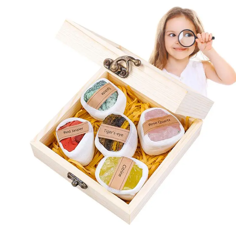 

Rock Mineral Kit Natural Gems Collection Geology Educational Kit Gemstone Crystal Set Rock Book Gem Kit For Children Gifts