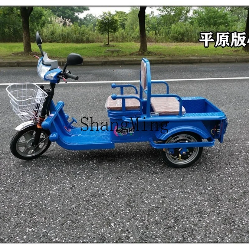 دراجة ثلاثية العجلات كهربائية CL للبالغين، شحن عائلي، كشك سيارة، بطارية مسطحة، نسخة جبلية، التقاط وإسقاط الأطفال