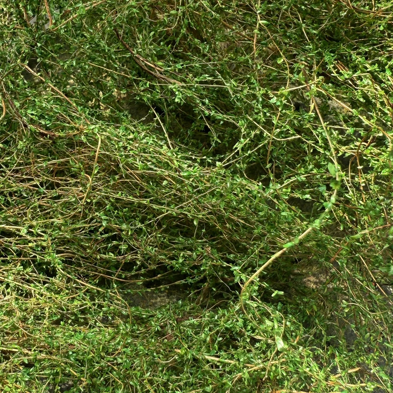 Model krajobrazu mikro, symulacja roślinności, winorośl, platforma piaskowa, dekoracja, model zbiornika, model schronienia, model kolejowy, układ kolejowy.