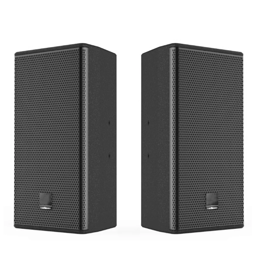 250W 10 inch Professional speaker portable and wood entertainment speaker for club concert and karaoke