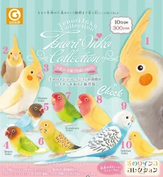 SHINE-G Japan Gashapon Figure Cute Kawaii Parrot Lovely Life Miniature Figurine Anime Gachapon Capsule Toys Desktop Decor