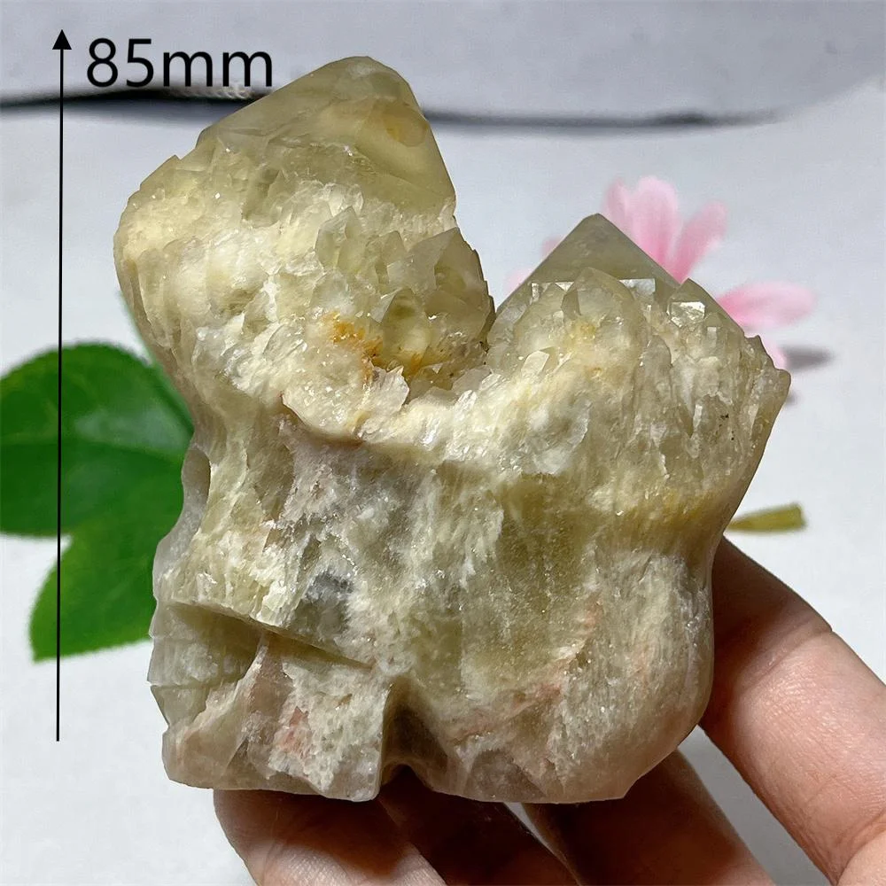 Citrine Cluster Skull Specimen Raw Stone Quatrz Cluster Feng Shui Energy Mineral Meditation Healing Gem Home Decoration