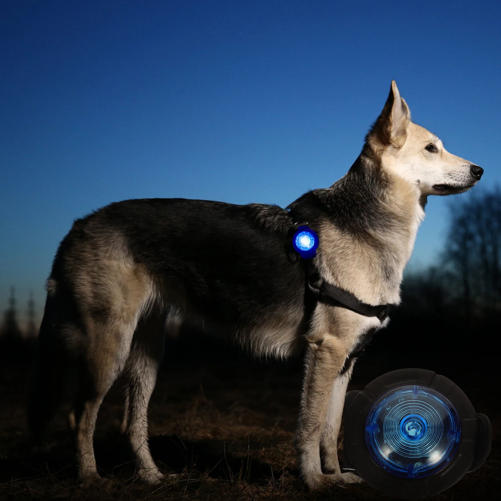 

Portable Safety Collar Durable Night Safety Lamp Dog Walking Lamp Plastic Waterproof Portable Dog Light Pet Supplies