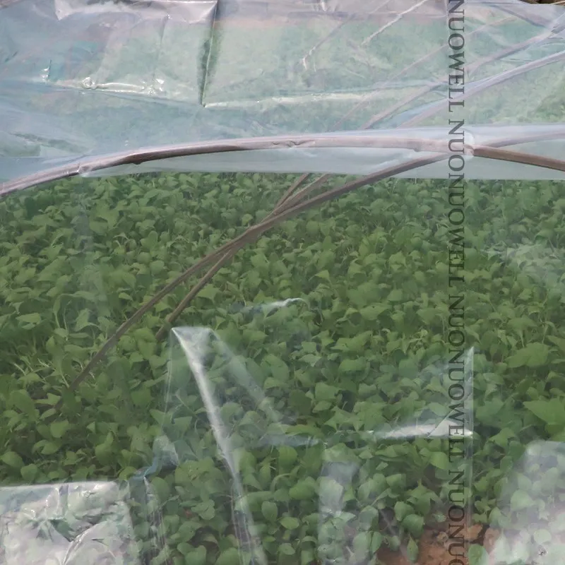 0.12mm Thickening Agricultural Plastic Greenhouse Film Farm Crops Vegetableg Garden Protective Film Width:2m~12m