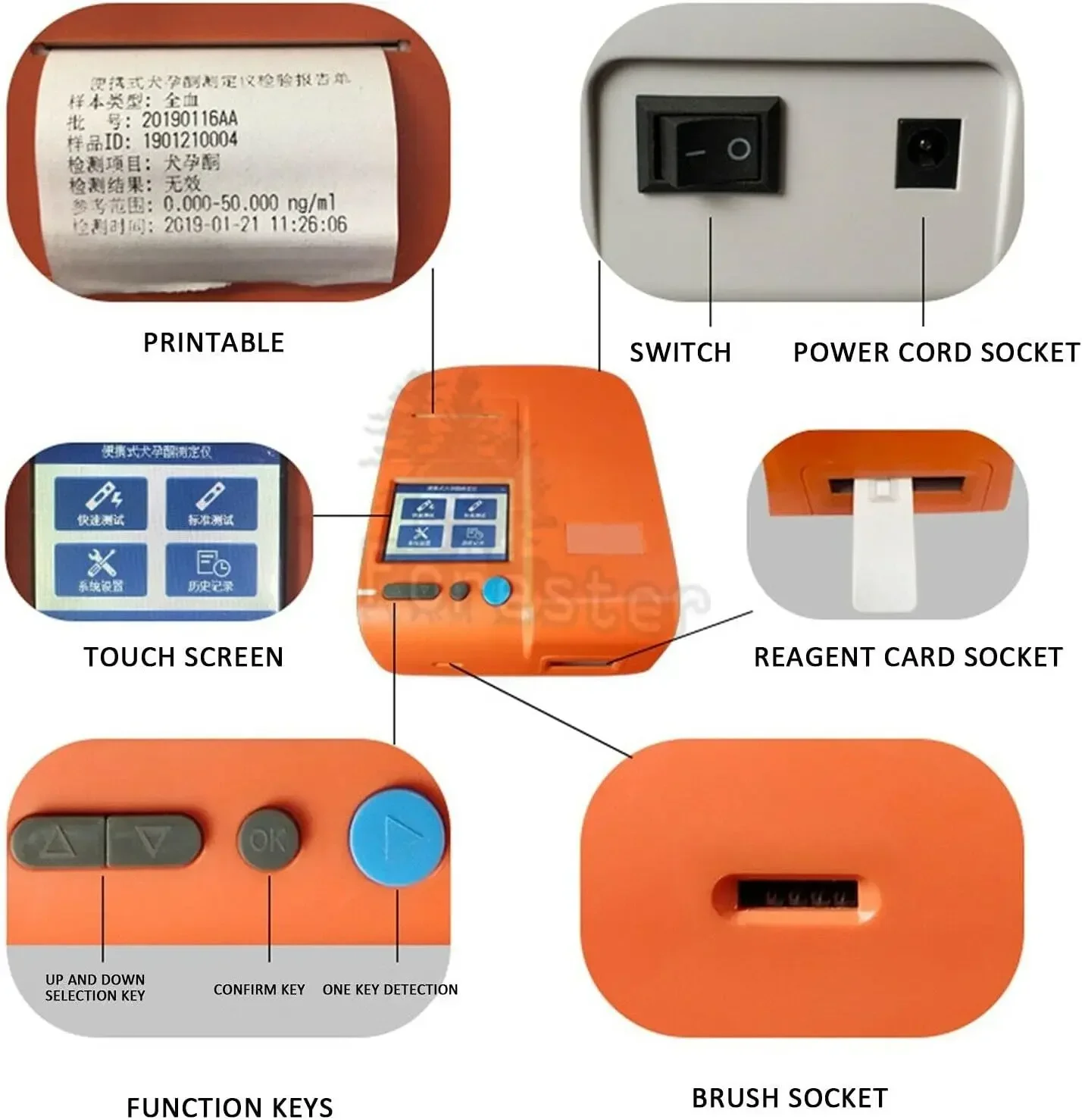 Dog Progesterone Analyzer Portable Pet Dog Progesterone Tester Canine Progesterone Testing Machine Veterinary Equipment