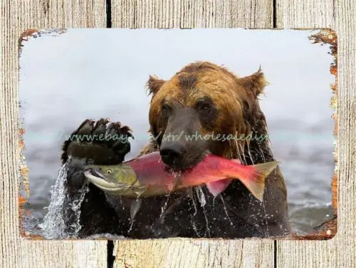 Bear Catching Salmon fish water metal tin sign dorm room buy posters