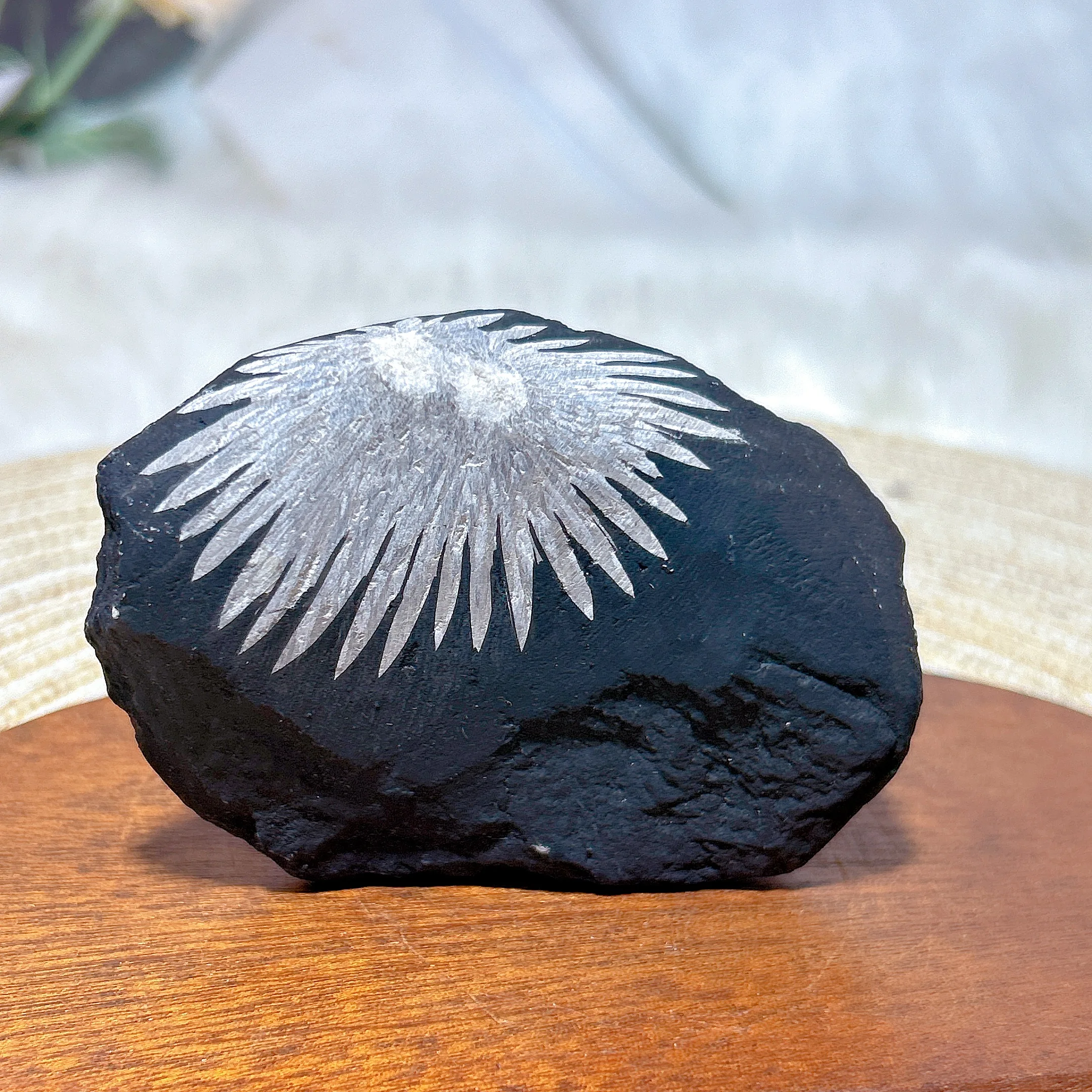 Natural Crystal Chrysanthemum Freeform Raw Stone Specimen Stand Healing Energy Mineral Ore Home