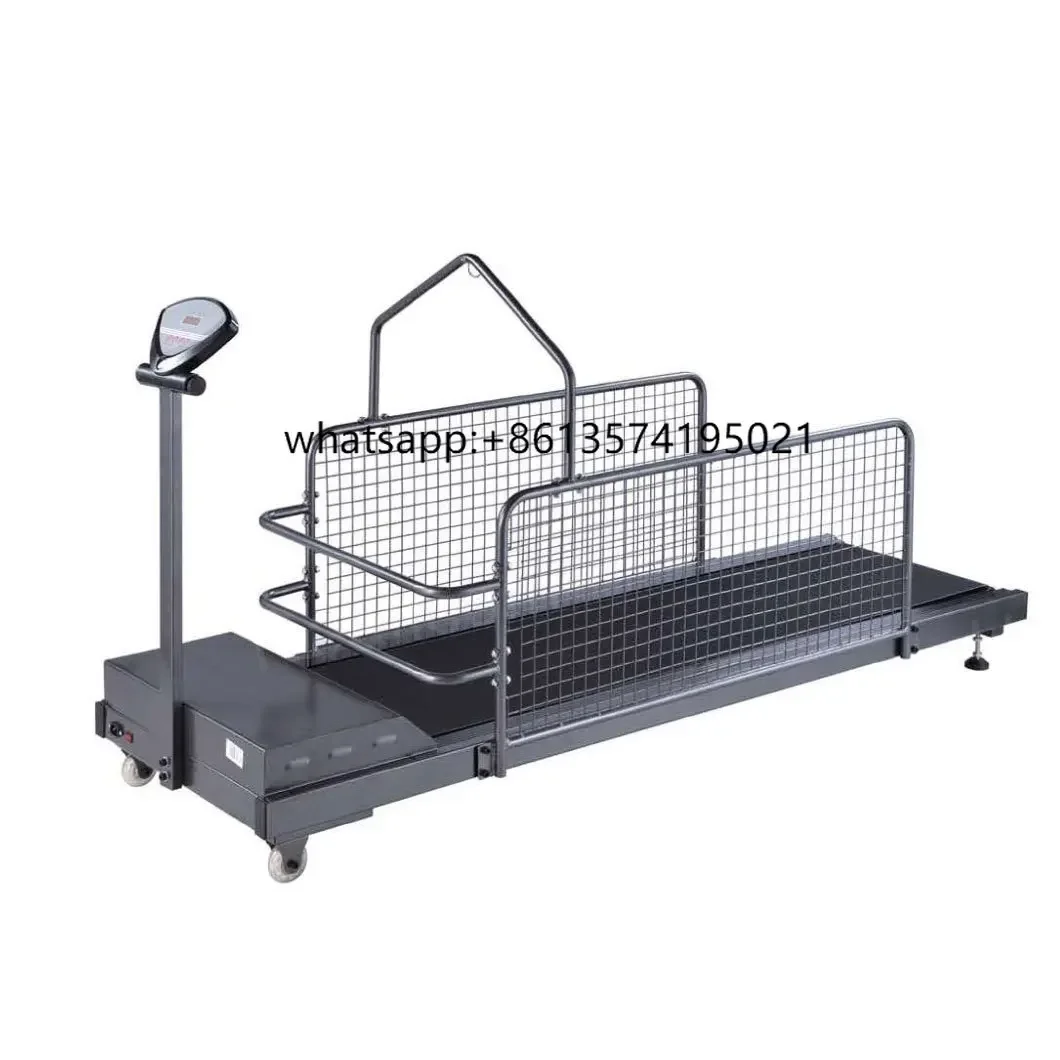

TProfessional Manufacturer Product Electric Veterinary Pet Dog Walking Treadmill For Sale