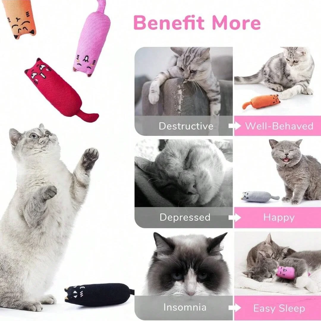 Bite Resistant Catnip Toy for Cats,Catnip Filled Cartoon Mice Cat Teething Chew Toy