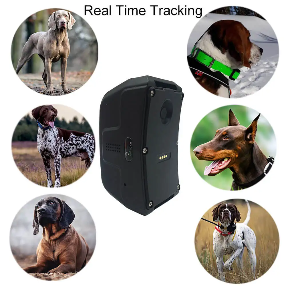 4G Lost GPS Dog Tracker With Free Tracking System Hunting Dog GPS Collar