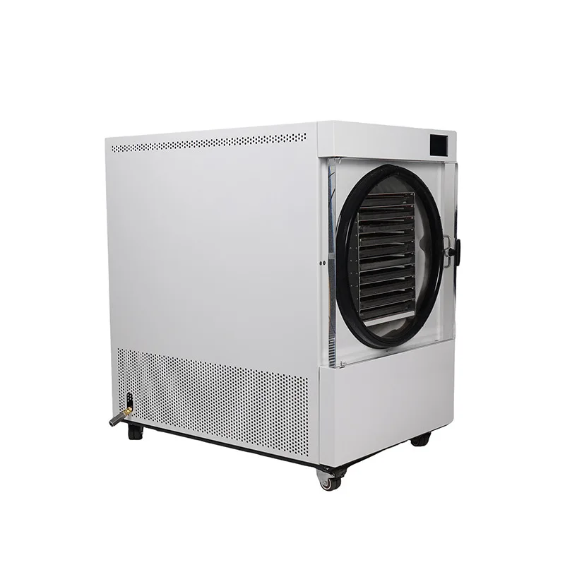 Semi-Automatic Vacuum For Food, Laboratory, Home, Commercial Use, Small Fruit And Vegetable Freeze Dryer Manufacturer