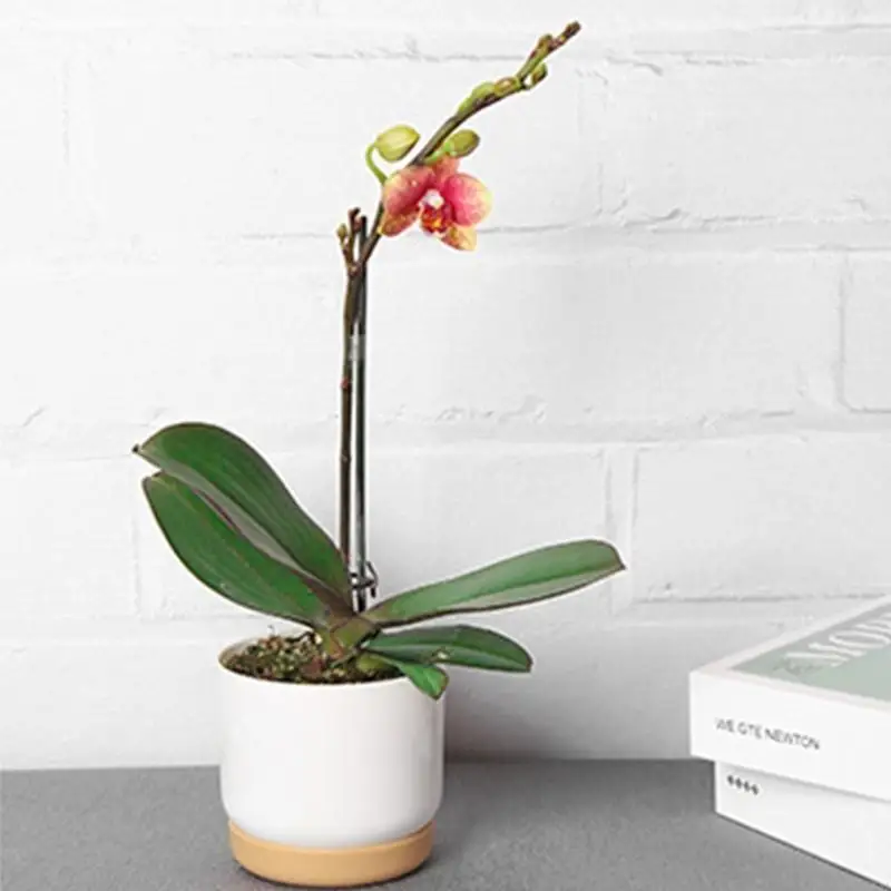 L43A White Plastic Imitation Ceramic Flower Pot- Plant Pots Large/Small