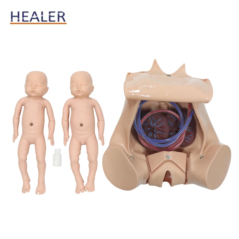 Medical Comprehensive Delivery Skills Training Model Childbirth Skills Training Simulator