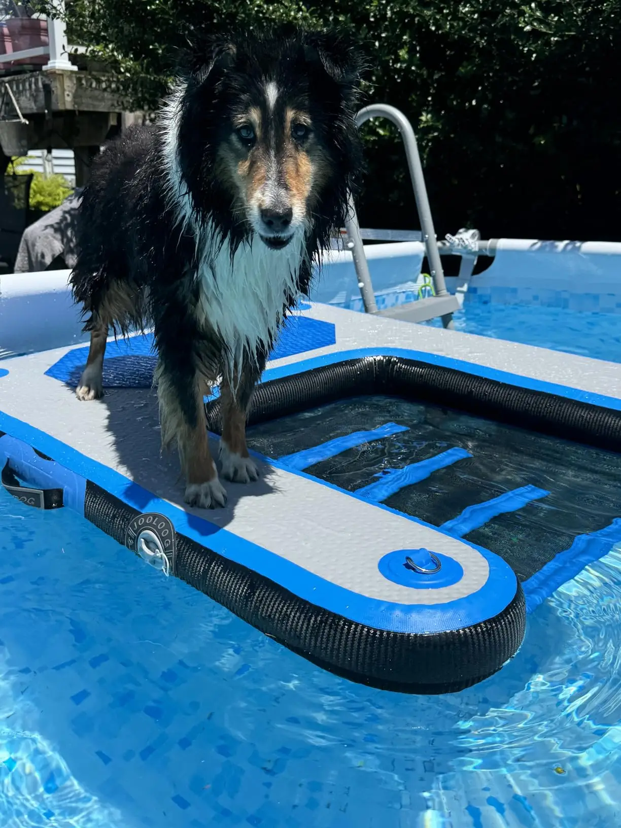 Inflatable Dog Float Ramp Pup Dog Non-Slip Dock Platform Blue Water Inflatable Dog Ramp for Lake Swimming Pool