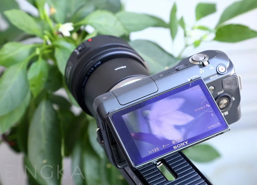 Metal Lens Reverse …