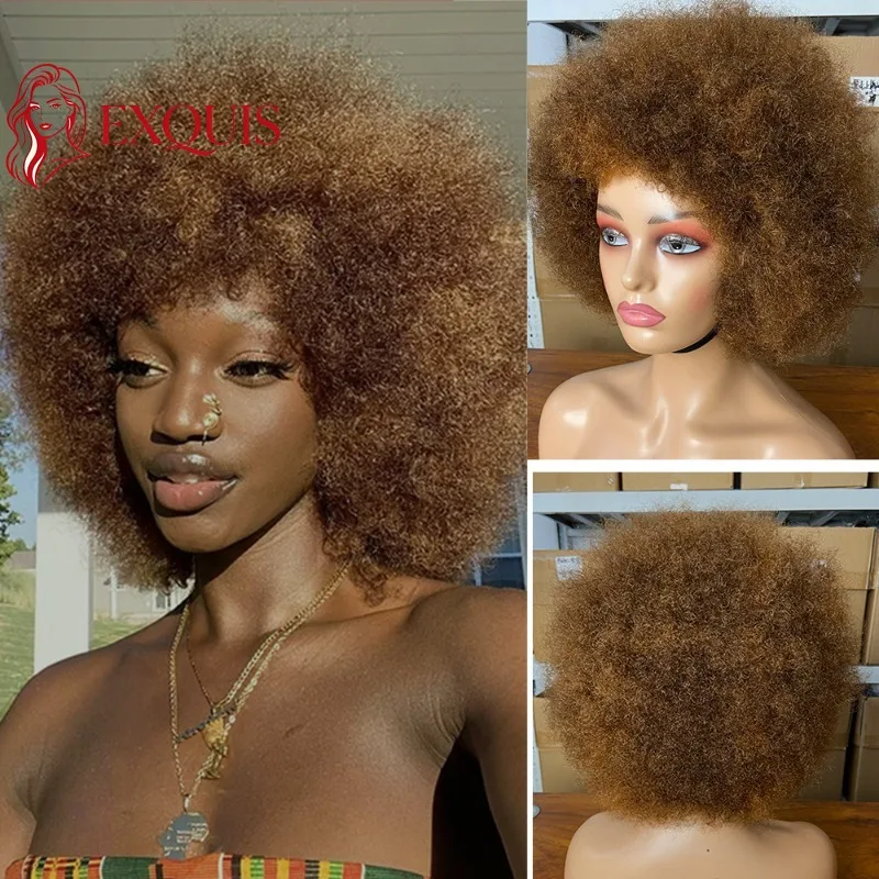 #P4/27Afro Kinky Curly6Inch Human Hair Full Machine Wig Brazilian Virgin Remy200%Density Soft Texture for Black Women Daily Use