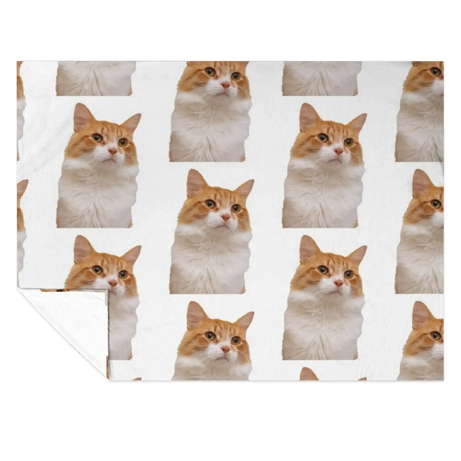 

Handsome Ginger Cat Throw Blanket Winter beds Stuffeds christmas decoration Large Blankets