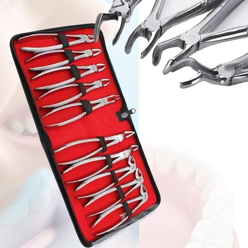10pcs Dental Extraction Forceps Kit English Pattern Adult Tooth Oral Surgery Dentist Tool Set