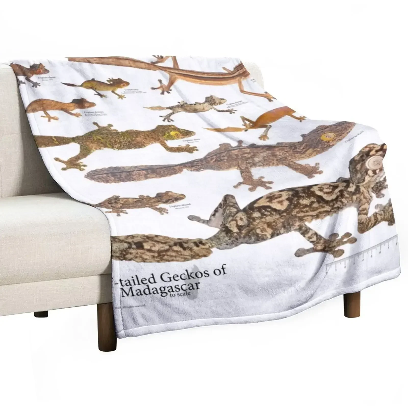 Some Leaf-Tailed Geckos of Madagascar to Scale, Version 1.0 Throw Blanket Blankets For Baby Bed Fashionable Luxury St Blankets