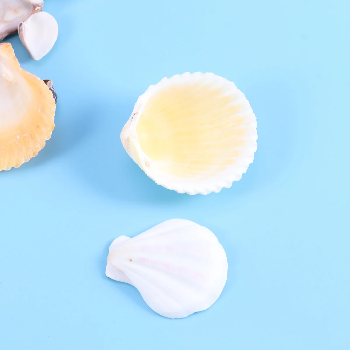 

130Pcs Ocean Decorations Mixed Mini Sea Shells Natural Colorful Exotic Marine Craft Supplies for Jewelry Making