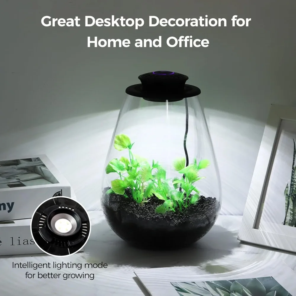 تررم نبات زجاجي صغير مع ضوء LED للنمو - حديقة الطحلب العصارية، خزان الأسماك، هدية ديكور المكتب المنزلي