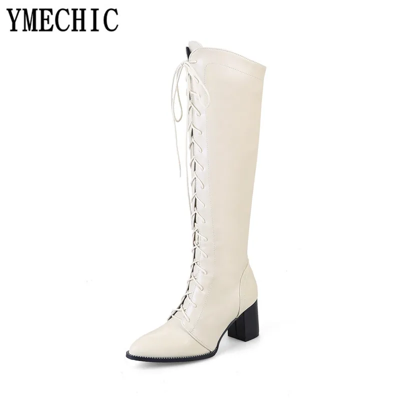 YMECHIC Brown Black Lace Up Cross Tie Womens Boots Pointed Toe High Block Heel Knight Motorcycle Boots Ladies Shoes Plus Size