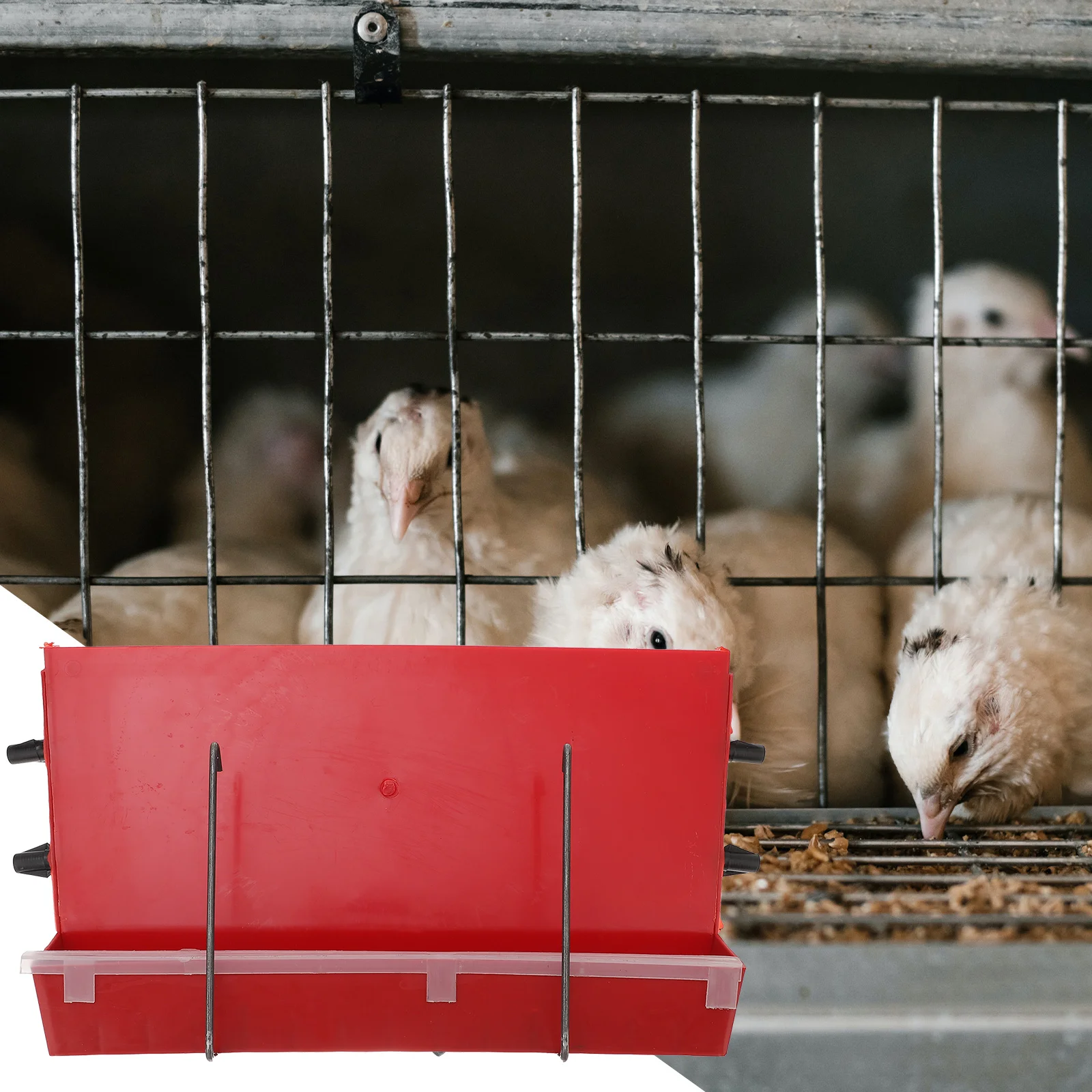 Incubator Fully Automatic Automatic Feeding Box Poultry Food Feeder Quail Cage Ornament Ladder Design Container Convenient