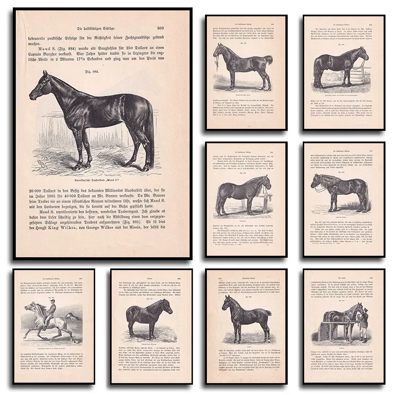1PC Vintage 1902 Coldblood Trotter Horse Art Print American Bitjug Equestrian Canvas Wall Decor Minimalist Animal Study Illus