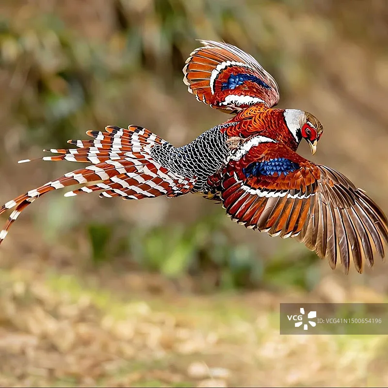 Emax Tinyhawk Iii P… - image