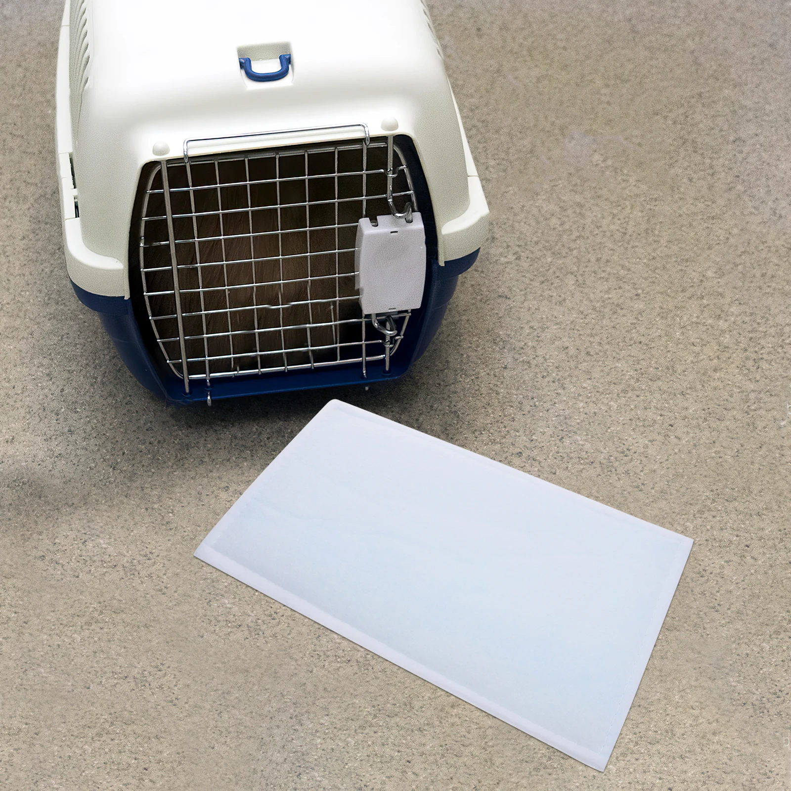 

2pcs Disposable Pee Mat For Small Dogs Puppy Diapers Training Toilet Mats Leakproof Absorbent Pet Supplies Doggy Pads
