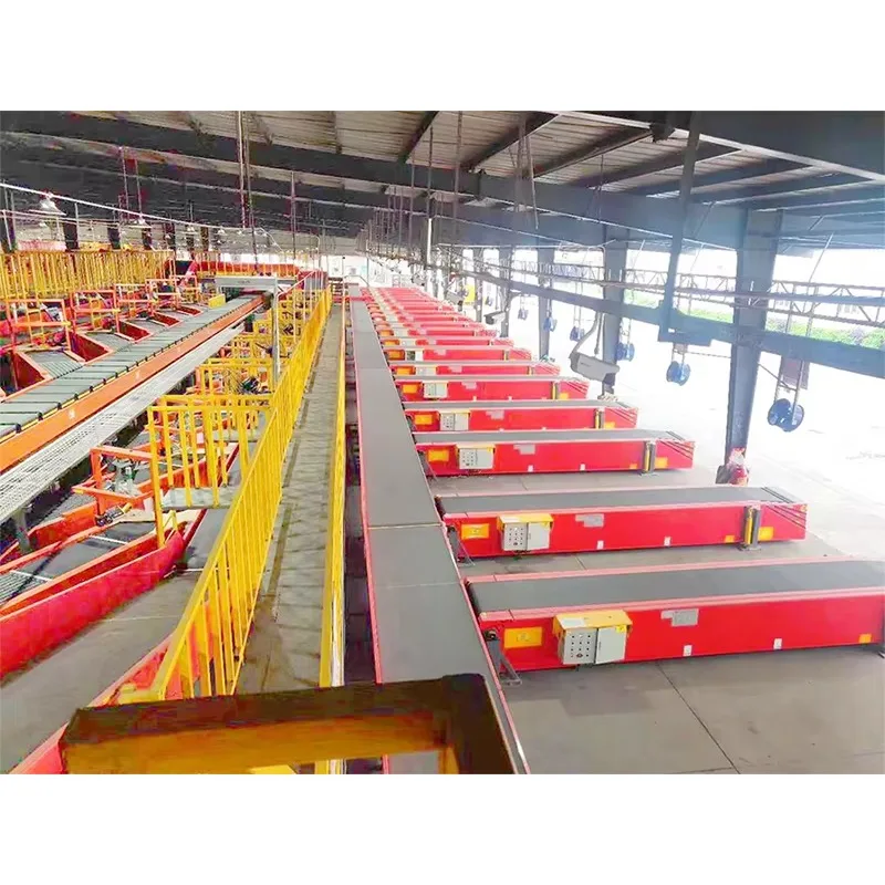 Module Design Automatic Parcel Sorting Conveyor Machine for Ecommerce or Postal Logistics