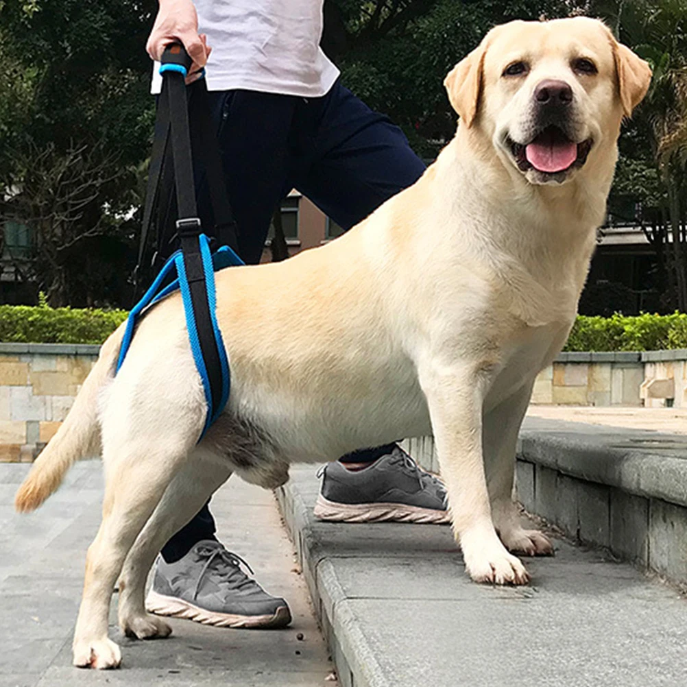 

Dog Staircase Auxiliary Belt Hind Leg Disabled Support Lightweight Breathable Air Mesh Elderly Dog Walking Climbing Stairs Pet