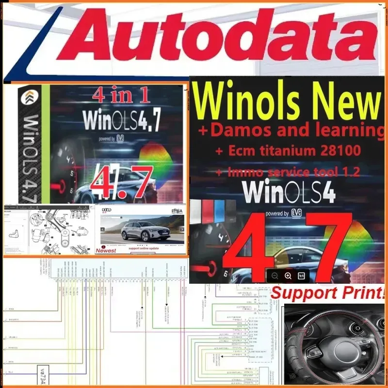 Winols 4.7 مفعل بالكامل + 108GB Damos Windows 7 10 11 لا حاجة إلى Vmware متعدد اللغات + ECM TITANIUM 1.61 + أداة خدمة IMMO #1