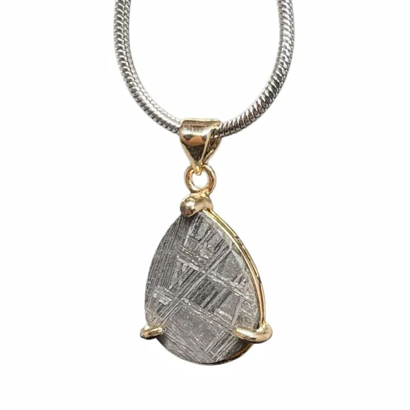3g Gibeon Meteorite Pendant Teardrop Shape Natural Iron Meteorite Slice Necklace Mineral Collection Jewelry Gift -LK312