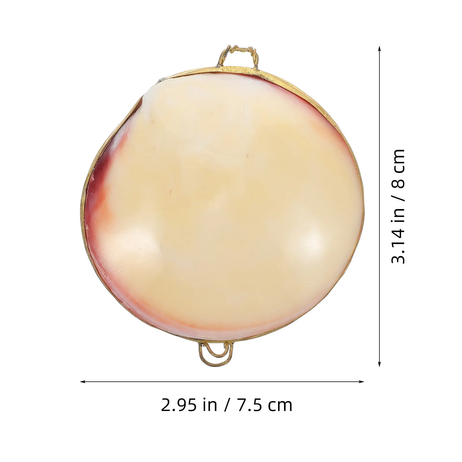 Natural Seashell Jewelry Holder Elegant Compact Travel Organizer for Rings Earrings Necklaces Decorative Ocean Inspired Storage