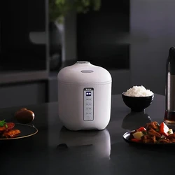 German mini rice cooker small 1 person 2 household small smart rice cooker multifunctional single person 1 person food liter