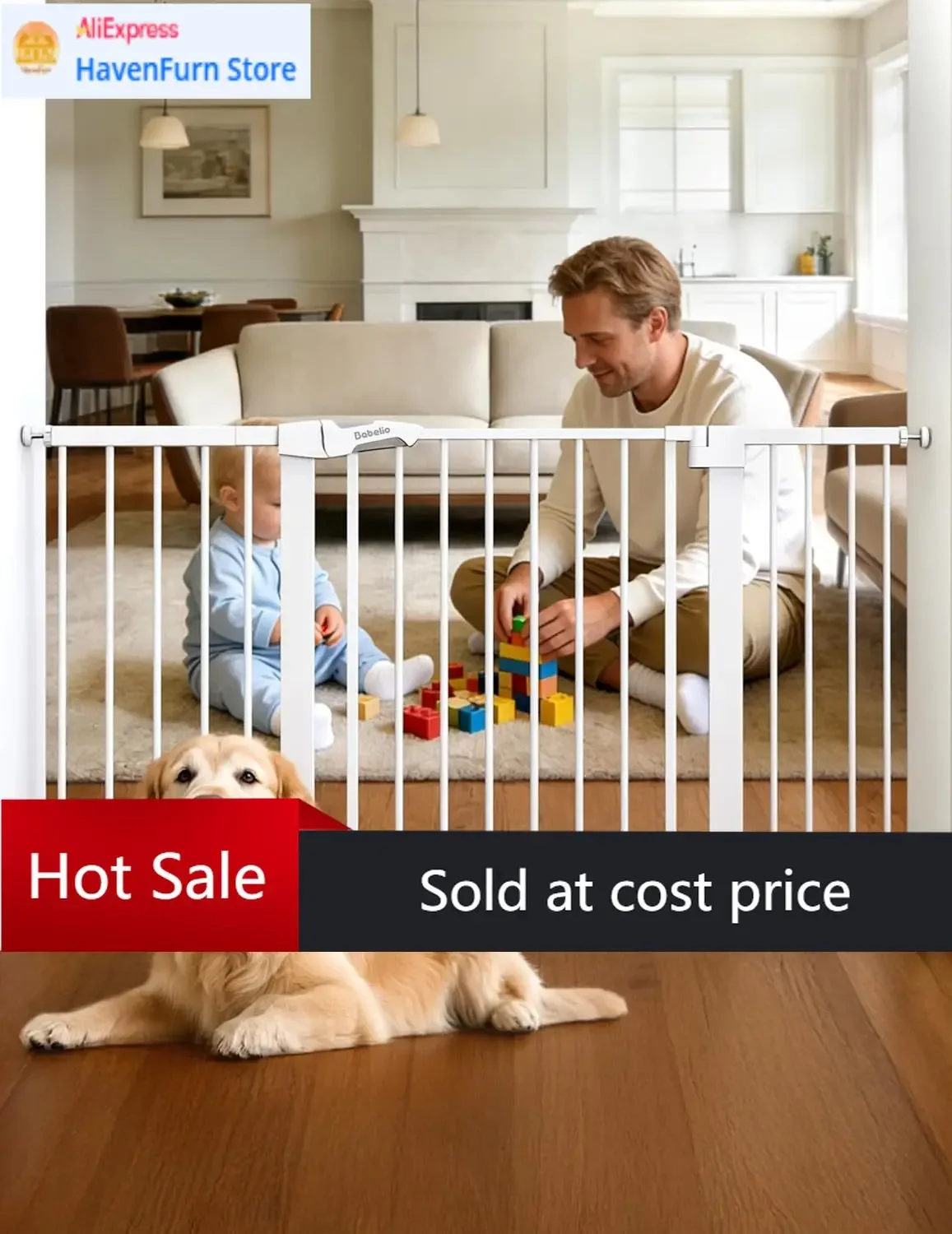 Activity Price29-55…