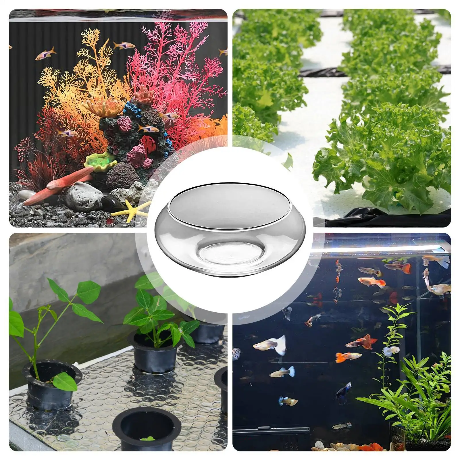 

25cm Glass Hydroponics Bowl Shallow Round Wide Plants Pot Large Fish Bowl Indoor Bonsai Flower Succulents Lotus Planting Tool ﻿