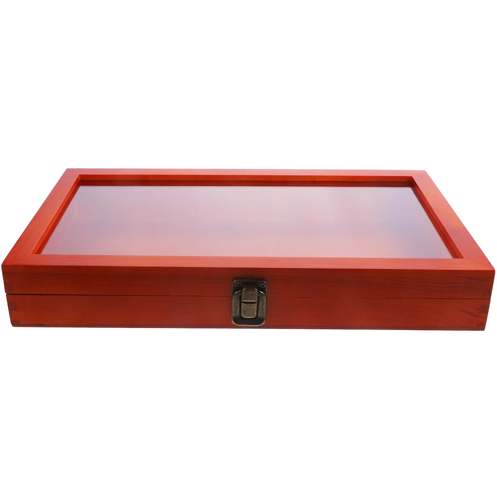 

Wooden Specimen Display Box Large Rectangular Transparent Lid Case for Plant Specimens Handicrafts Jewelry Wooden Showcase