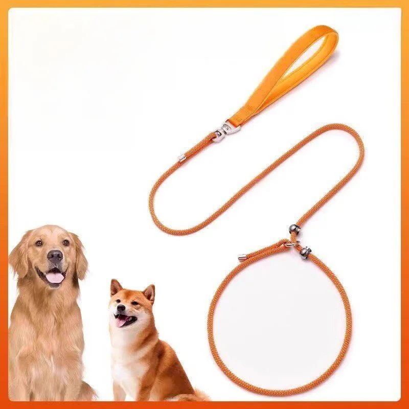 

Professional Dog Training Leash Large Medium Small Dogs Golden Retriever Dog Chain Walking Rope Dog Traction Rope Bite Resist...