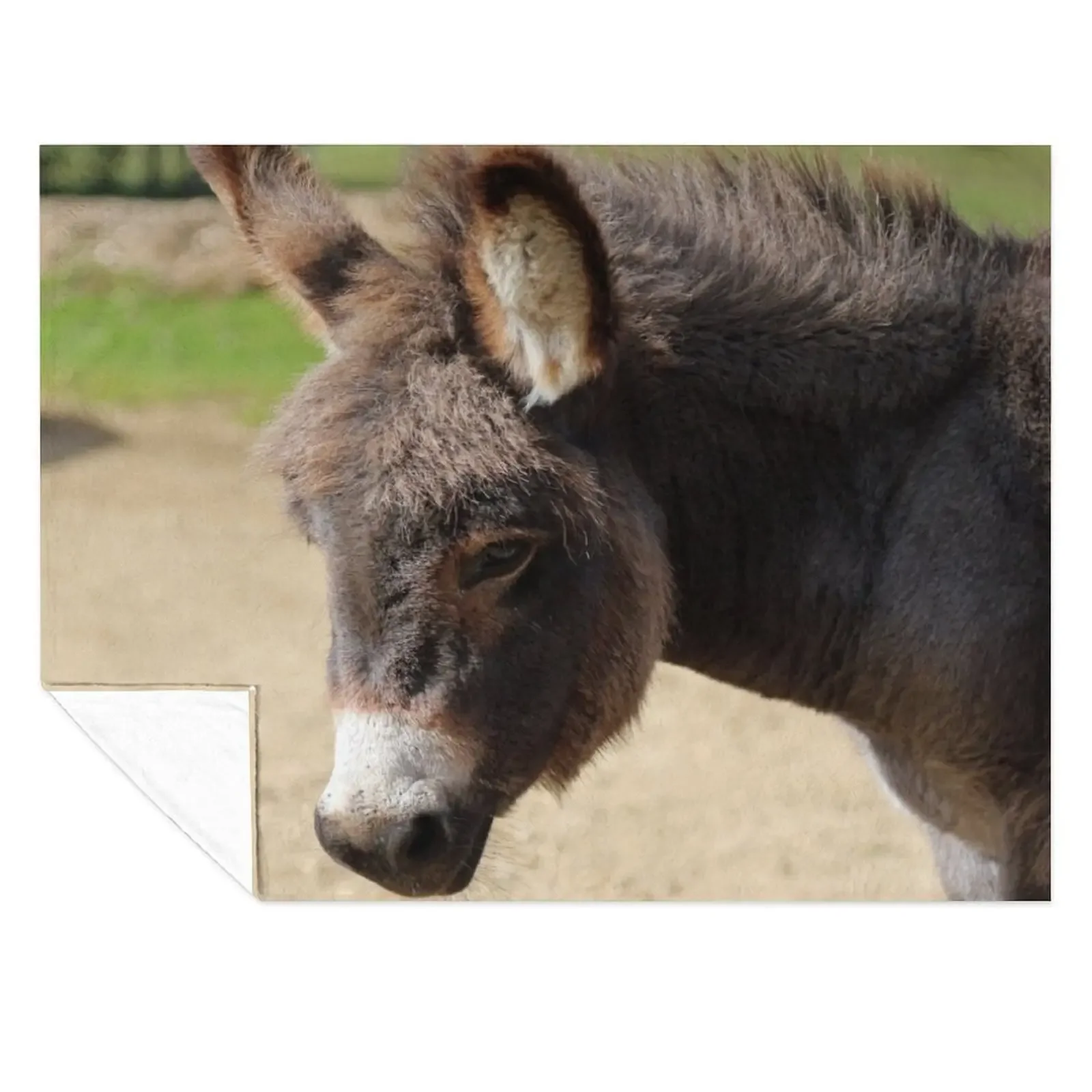 

Little donkey Throw Blanket Thermals For Travel Fashion Sofas Comforter Luxury Throw Blankets