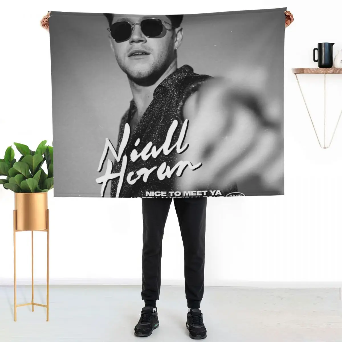 Sixnal Niall Nice To Meet Ya North American Tour 2020 Throw Blanket warm for winter for babies Hair Quilt Baby Blankets