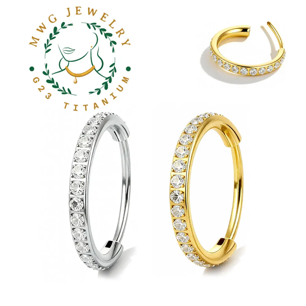Boucles d'oreilles en titane G23, créoles 21G, Segment articulé 5A CZ, anneau de nez rond pour femmes, Cartilage d'oreille, Helix, Piercing, bijoux