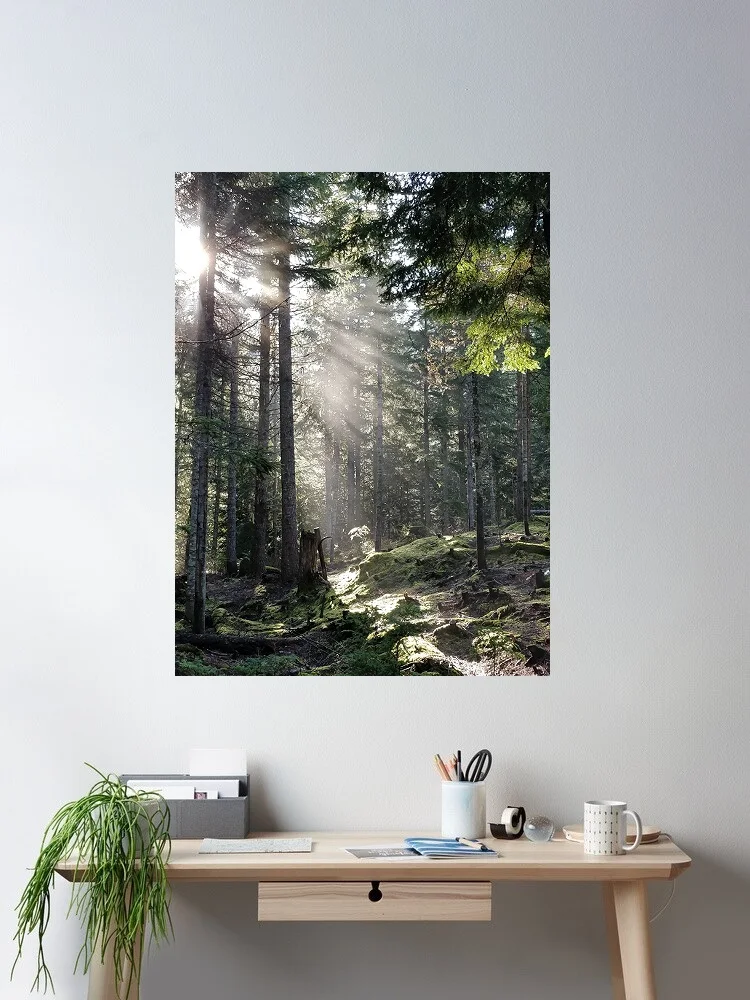 Sunbeams Sunrays Light through Trees Forest Nature Photo, Art Print Canvas Poster, Living Room Decor, Home Wall Picture