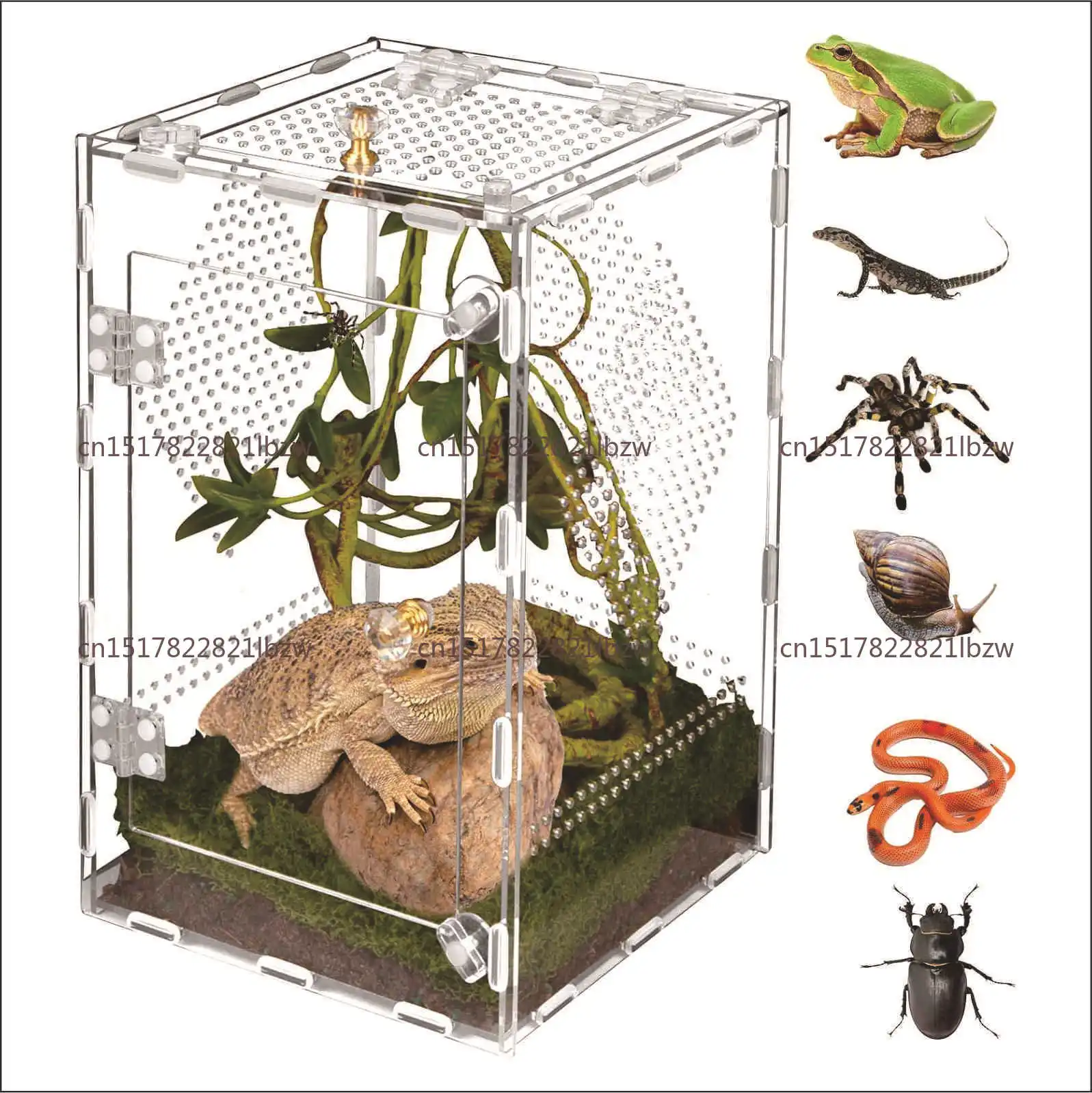 Acrylic Reptile Terrarium Desktop Removable Breathable Reptile Feeding Box Snake Insect Spider Display Box Crawler Breeding Case