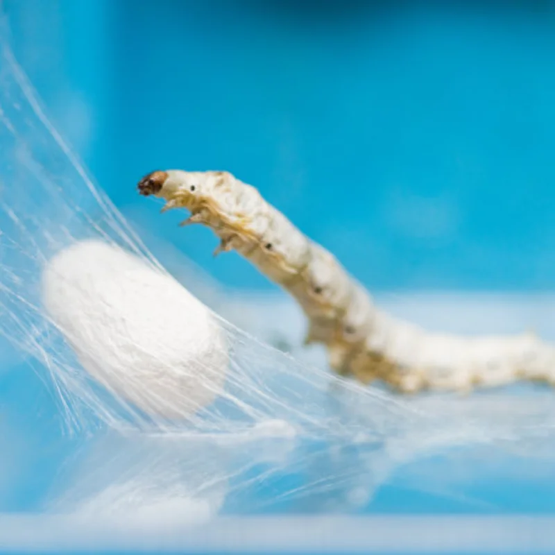 

2 шт. 380 540 550 3650 3660 3670 Радиатор двигателя Вентилятор охлаждения 36 мм Двигатель для 1/8 1/10 RC автомобиля Axial SCX10 trxs TRX4 Tamiya