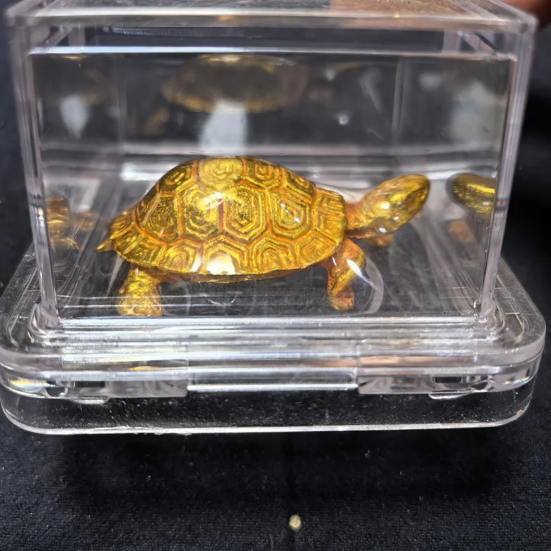 Caja clasificación tortuga dorada, durevidad sólida dorada cobre puro estilo antiguo