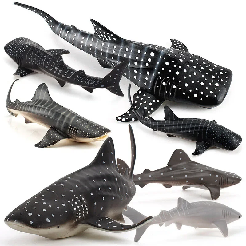 Simulatie Zeedieren Walvishaai Model Actiefiguren Oceaan Aquarium Miniatuur Beeldjes Educatief Speelgoed Kinderen Volwassen Geschenken