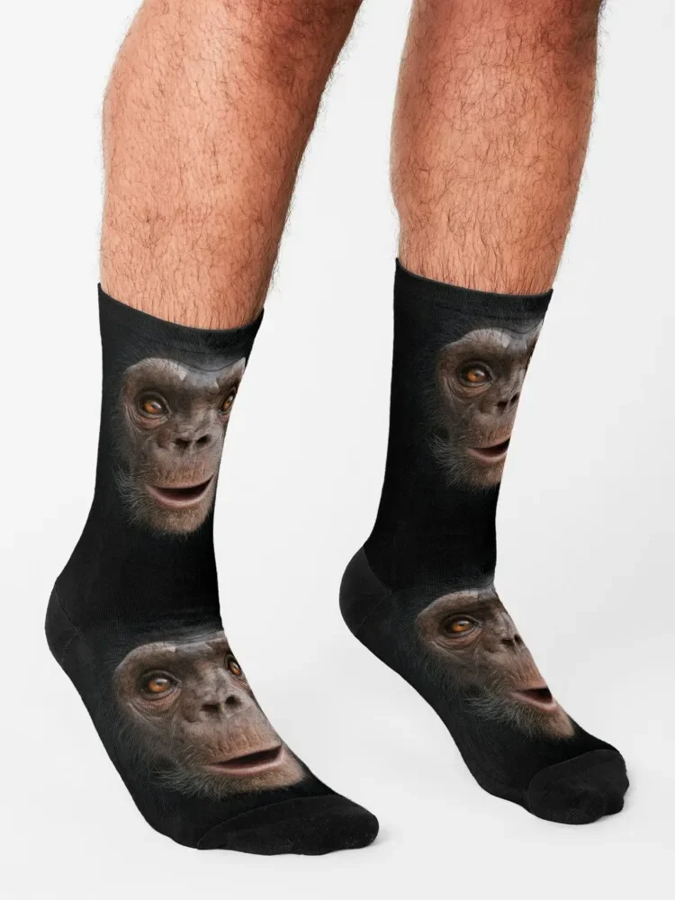 Cheeky Chimp Socks Stockings man tennis FASHION Soccer Luxury Woman Socks Men's